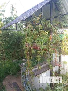 Дача 24м&sup2;, 2-этажный, участок 4 сот.  