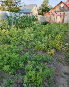 Дом 30м&sup2;, 2-этажный, участок 20 сот.  