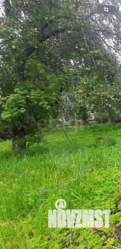 Дом 25м&sup2;, 1-этажный, участок 6 сот.  