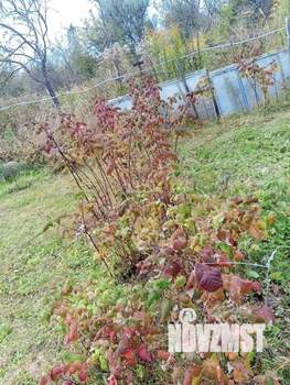 Дом 16м&sup2;, 1-этажный, участок 4 сот.  