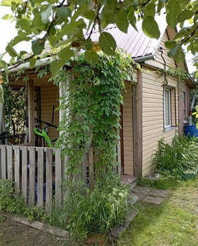 Дом 30м&sup2;, 1-этажный, участок 5 сот.  