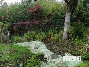 Дача 12м&sup2;, 1-этажный, участок 4 сот.  