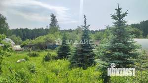 Дом 21м&sup2;, 1-этажный, участок 6 сот.  