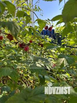 Дом 67м&sup2;, 1-этажный, участок 18 сот.  