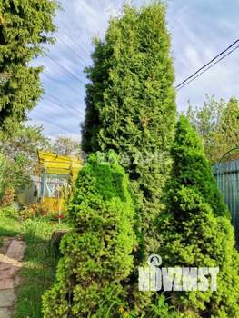 Дача 25м&sup2;, 1-этажный, участок 4 сот.  