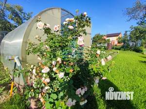 Дача 20м&sup2;, 1-этажный, участок 5 сот.  