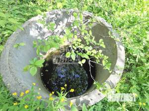 Дача 50м&sup2;, 2-этажный, участок 4 сот.  