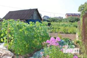 Дом 43м&sup2;, 1-этажный, участок 5 сот.  