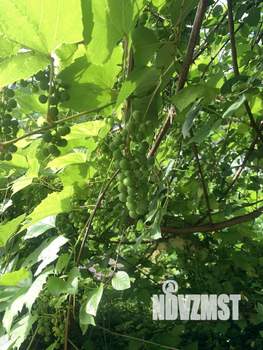 Дача 30м&sup2;, 2-этажный, участок 6 сот.  