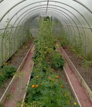 Дом 30м&sup2;, 1-этажный, участок 5 сот.  