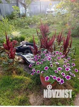 Дача 28м&sup2;, 1-этажный, участок 4 сот.  