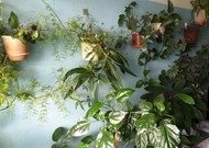 Фото комнаты на продажу (7)