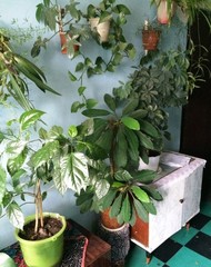 Фото комнаты на продажу (8)