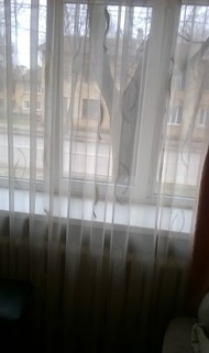 Фото комнаты на продажу (5)