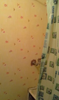 Фото комнаты на продажу (6)