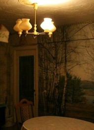 Фото комнаты на продажу (5)