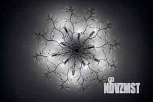 Фото квартиры в аренду (5)