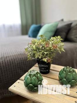 1-к квартира, посуточно, 32м2, 5/5 этаж