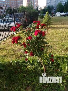 1-к квартира, на длительный срок, 50м2, 11/16 этаж