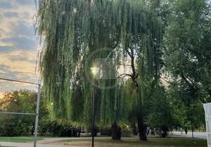 3-к квартира, вторичка, 72м2, 8/14 этаж