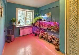 3-к квартира, вторичка, 60м2, 3/5 этаж