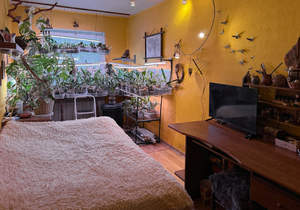 3-к квартира, вторичка, 60м2, 3/5 этаж